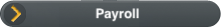 Payroll Preparation